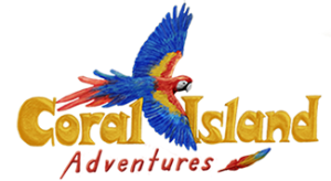 Coral Island Adventures
