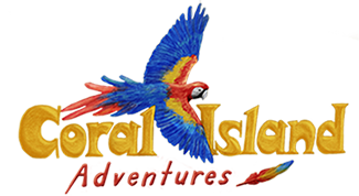 Coral Island Adventures